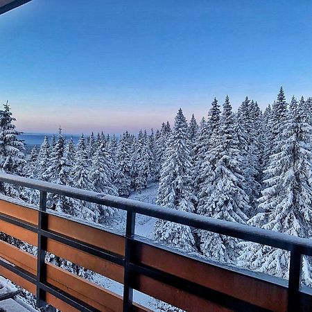Hotel Petrovy Kameny Karlova Studánka Dış mekan fotoğraf